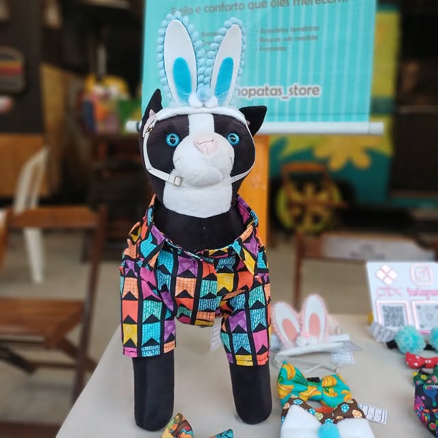 Pet após banho e tosa na Amo Patas — Costa e Silva, Porto Alegre